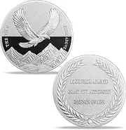 Eagle Challenge Coin - "The View from Above" with Inspiring Message - Symbol of Freedom and Perspective, Inspirational Gift for Strength and Clarity