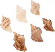 Kisangel 6Pcs Natural Sea Conch Shells for Hermit Crab Supplies Elegant Coastal Decor for Aquarium Beach Theme Desktop Coastal Bedroom Decoration