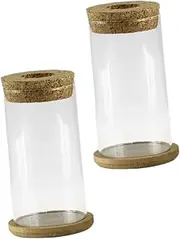 HIAKDOFT 2 Sets Clear Glass Succulent Vase Modern Floral Holder for Home Decor Table Centerpiece Wedding Arrangements Durable Glass Design for Use