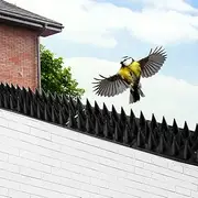 Lambu 10x Anti Bird Spikes Human Cat Mouse Pest Control Spiked Fence Deterrent