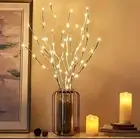 White Birch Branch Lights Battery Operated 20 LED Fairy Lights