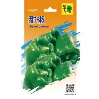 在飛比找momo購物網優惠-【翠筠用品】蔬菜種子B組