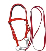 Horse Headstall,Trail Riding Horse Snaffle - Nylon Equine Noseband Reins for Women Men, Soft Lined Trail Riding Equestrian Supplies