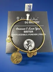 Alex and Ani “Because I Love You SISTER”Bangle Bracelet New/Tags BOX Retired
