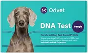 by –Screen 250+ Genetic Health Risks & Traits and Report Tests only Relevant for The Beagle, Wellness Plan, Home Cheek Swab, Accurate Results