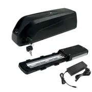 TDR 48V 20Ah Ebike Li-ion Battery with AUS Charger for 500W 750W 1000W 1500W Motors, HAILONG PLUS Down-tube