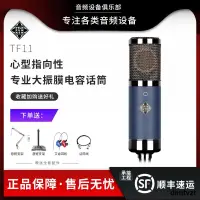 在飛比找露天拍賣優惠-TELEFUNKEN/德律風根 TF11 TF47 TF51