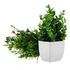 2pcs Fake Potted Plant Realistic Artificial Plant Decor Greenery In Pot Fake