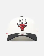 [New Era] New Era Chicago Bulls 'Nba X Hyperfly' 9forty A-frame Snapback Chrome White - Size ONE ONE Chrome White