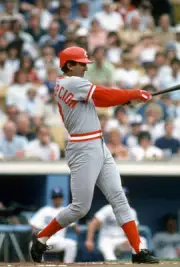 Dave Concepcion of the Cincinnati Reds 1981 Baseball Photo 14
