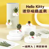 在飛比找蝦皮購物優惠-Hello Kitty迷你磁鐵盆栽 ( 2入/盒)   禮物