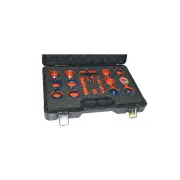 SP Tools 24Pcs Removal & Installation of Camshaft & Crankshaft Seals Toolkit