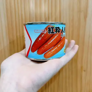 原包裝 200毫升 日本F1紅蘿蔔種子 紅蘿蔔種子 日本紅蘿蔔種子 胡蘿蔔種子 日本胡蘿蔔種子 紅菜頭種子 日本紅蘿蔔子