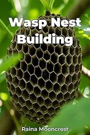 Wasp Nest Building