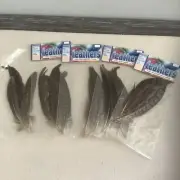 Lot of Four Darice Pheasant Feathers Ringneck Tail 8 to 12 Inches