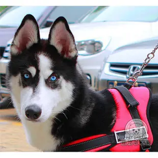 寵物胸背 皮革款 中大型犬用 帶鎖釦胸背帶 狗胸背 胸背帶 狗拉繩 溜狗繩 狗背帶 哈士奇 大型犬 中型犬 犬用胸背帶