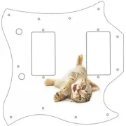 SG Standard Pickguard Custom Gibson Graphic Graphical Guitar Pick Guard Kitten