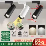 【台灣現貨】植物燈 植物生長燈 室內全光譜 COB30W綠植物墻燈 苗圃植物補光燈 LED軌道燈 多肉植物燈 植物軌道燈