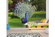 3D Peacock Opening 320 Wall Murals Wallpaper Murals Self-adhesive Vinyl