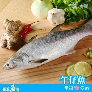 【臺北魚市】 生產追溯 午仔魚(250g/包)*3包