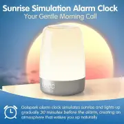 Vikus Wake Up Light Alarm Clock Heavy Sleepers Bedroom LED RGB Color