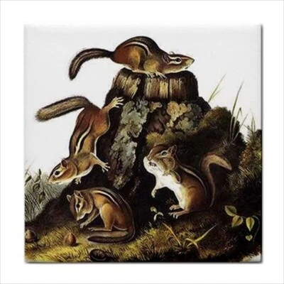 Chipmunks Animal Art Backsplash Decorative Border Ceramic Craft Tile