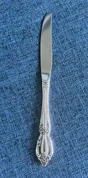 RAPHAEL By ONEIDA - 1 Dinner Knife - Distinction Deluxe Stainless Flatware 9”