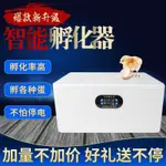 高孵化率】小型家用全自動智能水床孵化器迷你孵化機孵雞蛋孵化箱