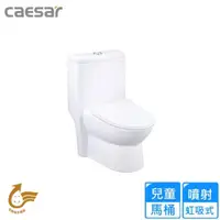 在飛比找momo購物網優惠-【CAESAR 凱撒衛浴】兒童馬桶(C1352 不含安裝)