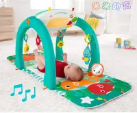 在飛比找Yahoo!奇摩拍賣優惠-@米米的窩@玩具租賃 Fisher-Price 費雪 四合一