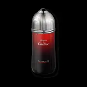 Cartier Pasha De Cartier Edition Noire Sport EDT, 100ml