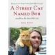 A Street Cat Named Bob: And How He Saved My Life