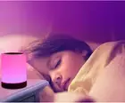 Night Light Touch Lamp for Bedrooms Living Room Portable Table Bedside Lamps...