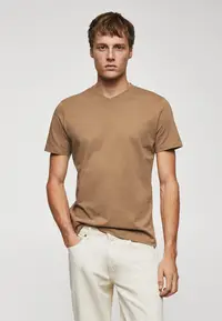 在飛比找ZALORA購物網優惠-Basic Cotton V-Neck T-Shirt