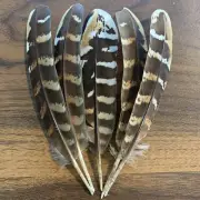 5pcs Set Natural Reeves Pheasant Feathers 16-17cm DIY Craft Millinery Smudge Fan
