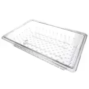 Giles 71725 Colander, Plastic