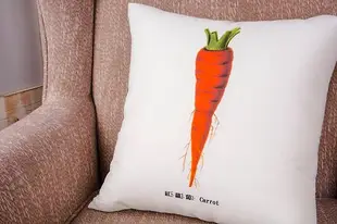 抱枕-紅蘿蔔 Carrot 雙面抱枕