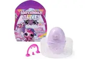 Hatchimals: Alive! Rainbow Splash - Fizzy Colour Surprise (Blind Box)