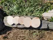 Wooden Log Discs #10 Wood Slices 2-11cm Round Wedding Coasters Saw cuts for DIY