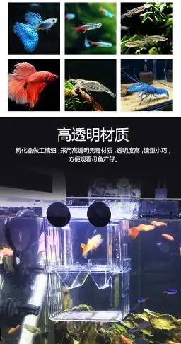 魚缸孔雀魚魚苗孵化盒透明隔離盒斗魚盒孵化器母魚繁殖產房孵化盒