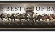 Best of Bart (Cummings) panoramic print