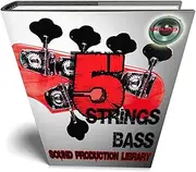 5 Strings Bass Guitar Real - Large Original Multi-Layer WAVe/Kontakt Studio Samples Library on DVD or download