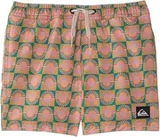 [Quiksilver] Boys' Surfsilk Mix Volley (Big Kids)