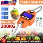 Mini Portable Crane Scale 300kg 0.1kg LCD Digital Electronic Hook Hanging Scale