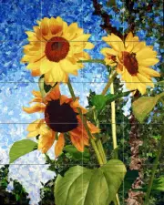 Contemporary Sunflower Art Brokenshire Mural Ceramic Backsplash Bath Tile #2426