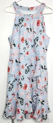 CAROLINE MORGAN Powder blue floral chiffon fully lined dress SZ 14 NWTS