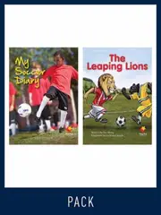 Flying Start Guided Reading Level 17, Pack 3