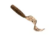 8 Pack of Zman 2 Inch Grubz Soft Plastic Lures - Pumpkinseed