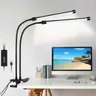 Clip-on Dual-head Study Eye-Care Desk Lamp Hour Timer Function Reading Lamp