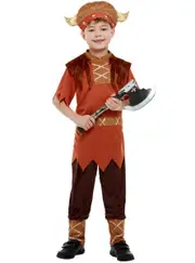 Viking Warrior Boys Book Week Costume